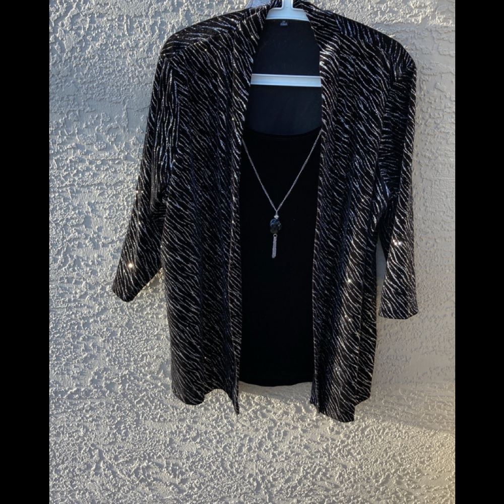 ❤️NOTATIONS Top  Size 2x.  Black Dressy /with Silver Sparkles NWT